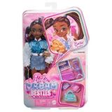 Mattel Barbie Dream Besties Barbie Brooklyn Bebek ve Aksesuarları HYC22