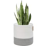 MaVaux Dekoratif Jüt Saplı Hasır Sepet Saksı 20cm X 20 Cm, Jüt Bej Saksılık, Dekoratif Saksı Ve Havluluk