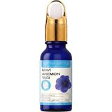 Mavi Anemon Yağı 10 ml - %100 Doğal ve Saf