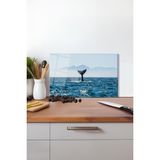 Mavi Balina Kuyruğu Cam Kesme Tahtası, Silikon Ayaklı, Isıya Kırılmaya Dayanıklı Sunum Kesim Tablası - 30 x 45 cm