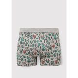 Mavi Kaktüs Baskılı Gri Boxer 091122-23854 - 2XL - Açık Gri