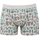 Mavi Kaktüs Desenli Gri Boxer 091122-23854 Açık Gri-23854 L
