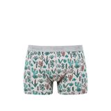 Mavi - Kaktüs Desenli Gri Boxer 091122-23854