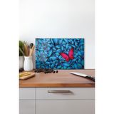 Mavi Kırmızı Kelebek Cam Kesme Tahtası, Silikon Ayaklı Isıya Kırılmaya Dayanıklı Sunum Kesme Tablası - 30 x 45 cm