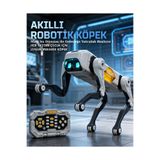 mavi su dünyası AI Robot Köpek | Uzaktan Kumandalı ve Mobil Kontrollü Şarjlı Yapay Zekalı Robot Köpek | Sesle Kontrol | Şarkı Söyleme | Dans Etme | Uzaktan Kontrol Robot Köpek