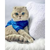 Mavi Superman Kedi Tişörtü Kedi Kıyafeti Kedi Elbisesi