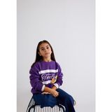 Mavi Tweety Baskılı Baskılı Mor Sweatshirt 7S10073-70633 - 2 - 3 Yaş