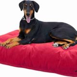 Mavi Vitrin Ultra Soft Large Büyük Irk Köpek Yatağı Elyaf Dolgulu Yıkanabilir Kumaş