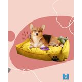 Mavi Vitrin Yıkanabilir Köpek Yatağı Büyük Boy Ultrasoft Silikon Elyaf Dolgulu (HARDAL)