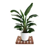 Mavienerji Tekerleksiz Ahşap Saksı Altlığı Damacana Tüp Saksı Sehpası 30X30 cm