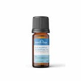 Mavili Kapı 10 ml Okaliptus Yağı