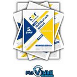 Mavitikli Yayınları 5. Sınıf Bursluluk Sınavı 4 Adet Deneme
