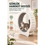 MAVLET 80 cm Kedi Koşu Tekerleği Ahşap Egzersiz Çarkı Ev Tipi Beyaz