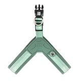 Max & Molly Matrix 2.0 Akıllı Künyeli Q-Fit Jade XS Köpek Göğüs Tasması
