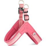 Max & Molly Matrix 2.0 Akıllı Künyeli Q-Fit Rose Large Köpek Göğüs Tasması