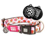 Max & Molly Smart ID Strawberry Dream Köpek Boyun Tasması Xsmall