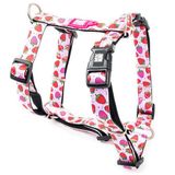 Max Molly Strawberry Dream Desenli Köpek Göğüs Tasması (medium)