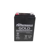 Max Performance Gold Max 12V 2.9 Ah Kuru Akü