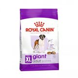 Maxi Dev Irklar Için Yetişkin Köpek Maması 15 Kg