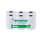 Maximum Çift Katlı Mini Jumbo Tuvalet Kağıdı 12 Rulo