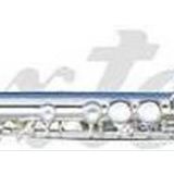 Maxtone TF48ES Flüt E Silver Wcase Aksesuar