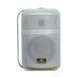 Maxword Mds-106Tw Yüksek Kaliteli 250W 6.5 İnç 16 Ohm/100V İki Yollu Duvar Tipi Sütun Hoparlör