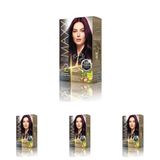 MAXX DELUXE BEAUTY EXPERT HAIR COLOR (KERATİN)'Lİ 1 KUTU (2 X 50 ML) (Patlıcan Moru 3.66) (4 paketi)