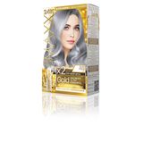 Maxx Deluxe Gold Füme Gri 0.01 24K Altın Parçacıklı 2x50 ml Saç Boyası