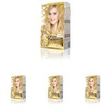 MAXX DELUXE Gold serisi 24K Altın Parçacıklı Serum ile 1 Kutu 2 x 50 ml ve Geliştiriciler Saç Boyası (BUĞDAY SARISI 9.0) (4 paketi)