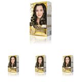 MAXX DELUXE Gold serisi 24K Altın Parçacıklı Serum ile 1 Kutu 2 x 50 ml ve Geliştiriciler Saç Boyası (KÜLLÜ KOYU KUMRAL 6.1) (4 paketi)