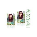 Maxx Deluxe Natural Beauty Amonyaksız 3.66 Patlıcan Moru x2 Saç Boyası Seti