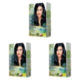 Maxx Deluxe Natural Beauty Amonyaksız Set Saç Boyası 1.1 Mavi Siyah (3 paketi)