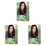 Maxx Deluxe Natural Beauty Amonyaksız Set Saç Boyası 3.66 Patlıcan Moru (3 paketi)