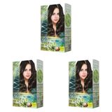Maxx Deluxe Natural Beauty Amonyaksız Set Saç Boyası 7.1 Küllü Kumral (3 paketi)