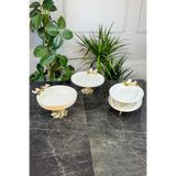 MAY HOME Sedef Kelebek Kand Ayaklı Porselen Kase Tabak Sunum Seti & Metal Ayaklı Salata Yemek Sunumluğu