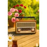 Maybax Nostaljik Radyo Fm Sd Usb Ahşap Görünümlü Nostalji Bluetooth Hoparlör Ahşap Renk Fenerli