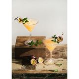 Mayden Concept 280 ml Pc 8 Adet Martini Bardağı – Şeffaf, Kırılmaz, Gıda Uyumlu, Dayanıklı – Kafe, Bar ve Organizasyonlar Için - Kokteyl & Profesyonel Servis Bardağı