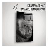 Maymun Cam Tablo