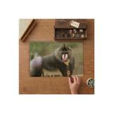 Maymun Mandril Afrika Tasarımı 240 Parça Ahşap Puzzle Ahşap Kutuda MP04214