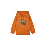 Mayoral Erkek Çocuk Kapüşonlu Sweatshirt Kiremit 4422 KİREMİT