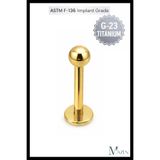 MAZEN G23 Titanyum Piercing Labret Model | Tragus Helix Septum Smile Uyumlu | Gold Renk Premium