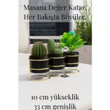 Mba Decor Metal Bending Art Modern Altın Detaylı 3'Lü Metal Ayaklı Kaktüs Sukulent Saksı Seti – Dekoratif İç Mekan Saksılık