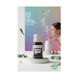 Mbb E-Ticaret %100 Saf ve Yoğun Okaliptus Çiçeği Esansı -Ütü, Buhardanlık ve Koku Makineleri Için 10 ml