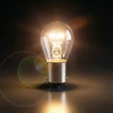 Mbb E-Ticaret BAZ15D/7225 21/4W 12V Çapraz Tırnak Fren ve Park Lambası Ampulü Çift Duy 1 Adet Gün Işığı