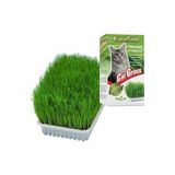 Mbb E-Ticaret Cat Grass Kedi Çimi - Balık