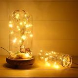 MBB Ticaret Peri LED Işık 5 Metre (Sarı) Pilli Aydınlatma Şerit Saçak Spot Süsleme
