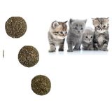 MCM Group Kedi Nanesi Topu 3 Adet 2.5 cm Nepeta Cataria