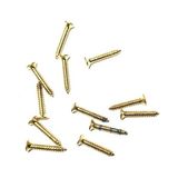 MCM Group Klips, Menteşe, Ayak, Ağaç, Sunta Vidası 2,2X13 mm - Sarı 1000 Adet ( Lisinya )