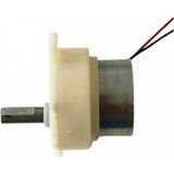MCM Group Kuluçka Makinesi Mini Viyol Çevirme Motoru 12 Volt ( Lisinya )