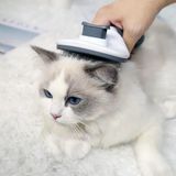 MCM Group Otomatik Tuşlu Kedi Köpek Tarama Fırçası Tımar Tarağı Yumuşak Uçlu Tüy Toplayıcı